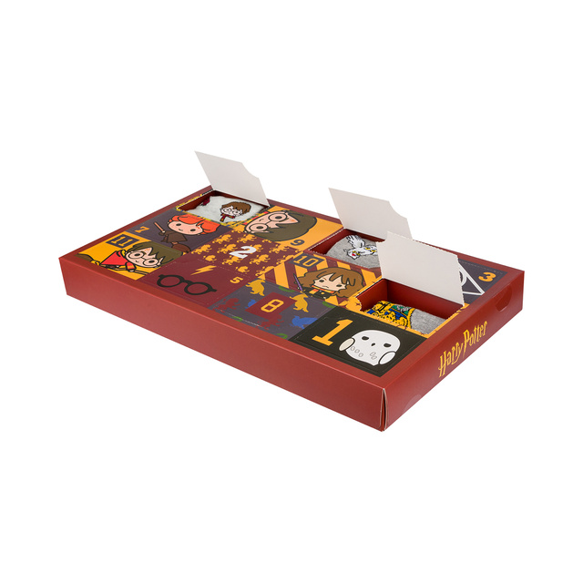 calendario de adviento Harry Potter | idea de regalo para ella | dia de san nicolas | Juego de 6 calcetines de mujer SOXO