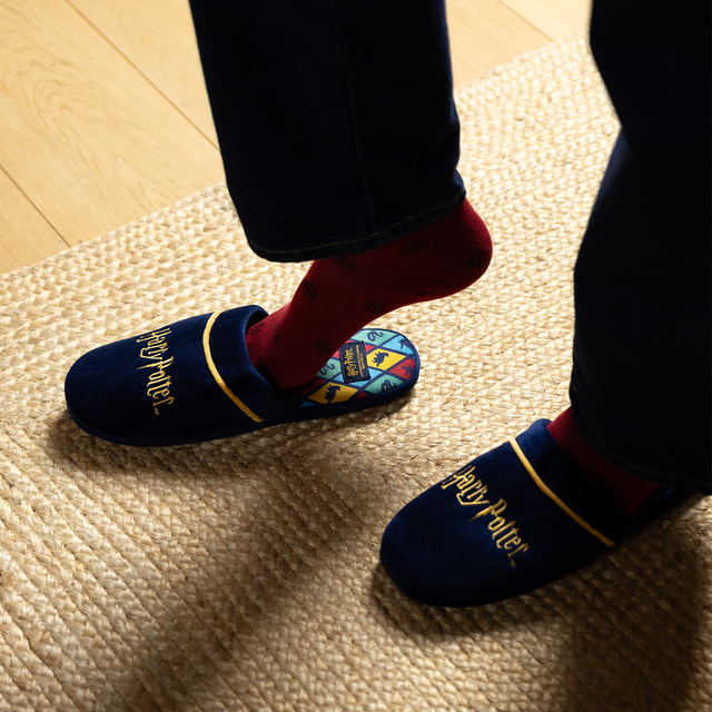 Zapatillas de hombre de Harry Potter