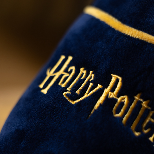 Zapatillas de hombre de Harry Potter