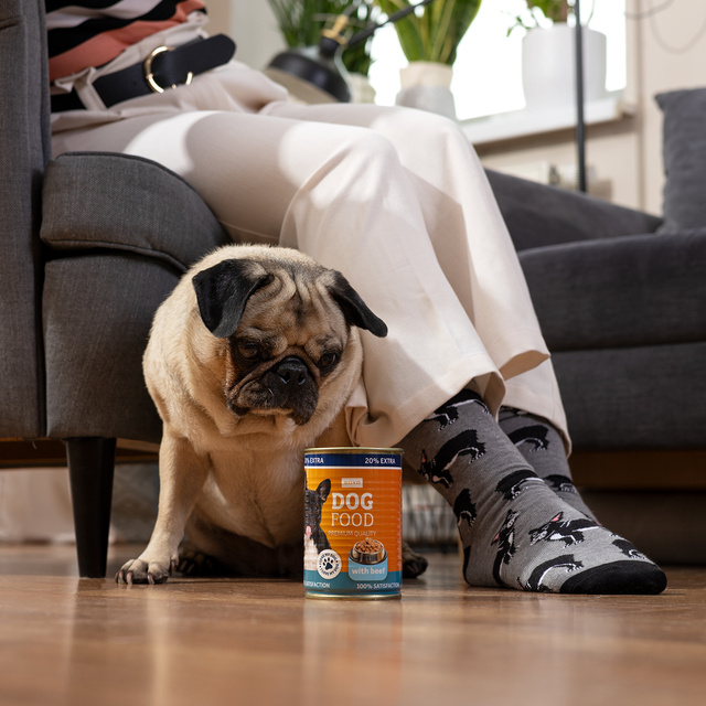Calcetines de bulldog para hombre SOXO en lata
