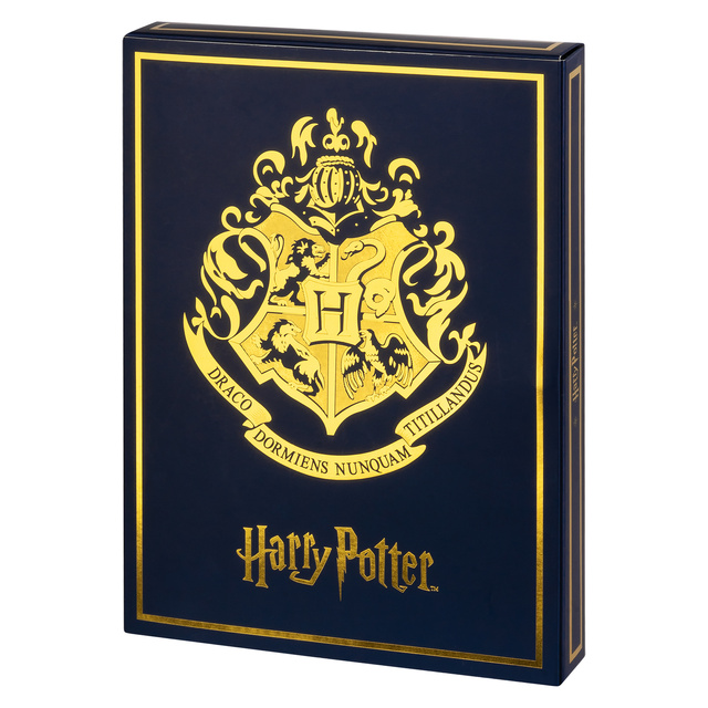 Calendario de Adviento con Calcetines Harry Potter 6-Pack