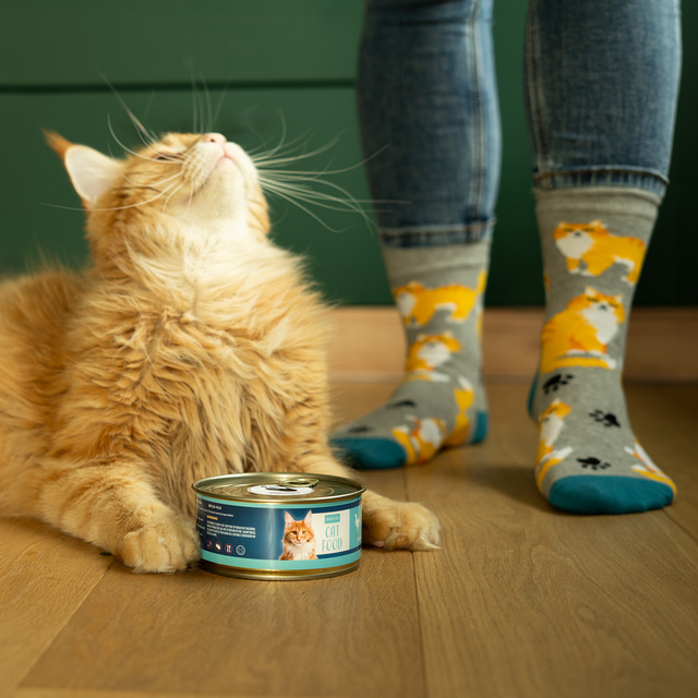 Calcetines de gato en lata para hombre SOXO 