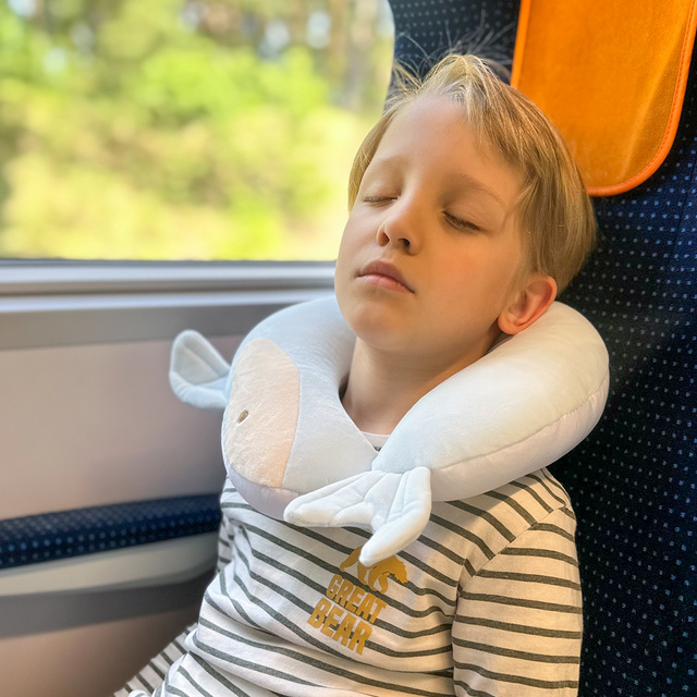 MOMO WAY Cojín multifuncional con forma de delfín