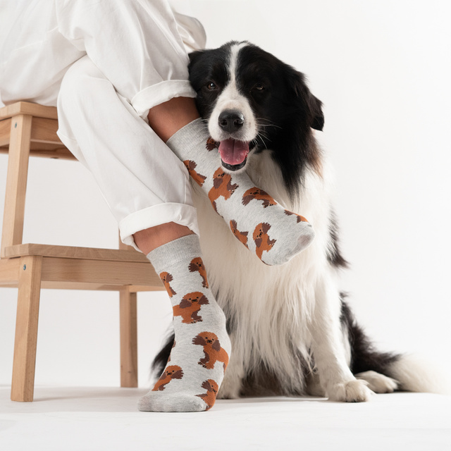 Calcetines caniche de hombre SOXO en lata 