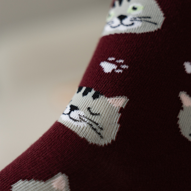 Calcetines de mujer | SOXO de hombre | Gatito en caja | Idea de regalo divertida | Unisex