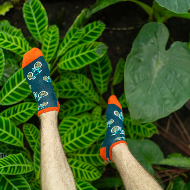 Juego de 4 calcetines coloridos SOXO GOOD STUFF para hombre