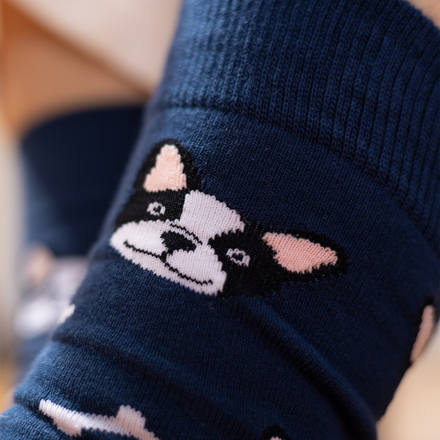 Calcetines de mujer | SOXO de hombre | Perro en caja | Idea de regalo ideal | Unisex