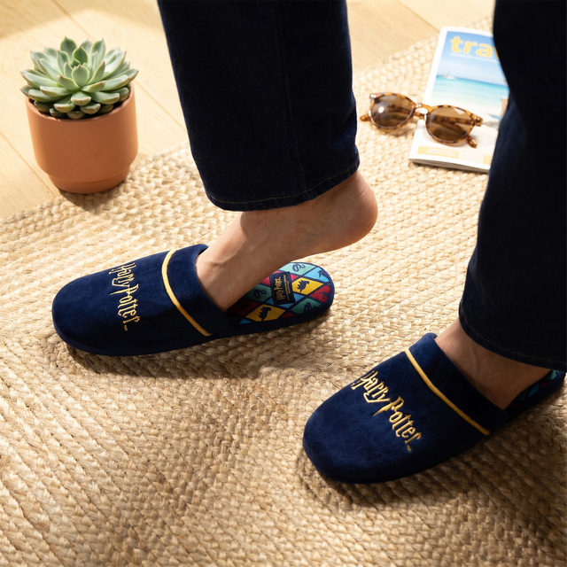 Zapatillas de hombre de Harry Potter