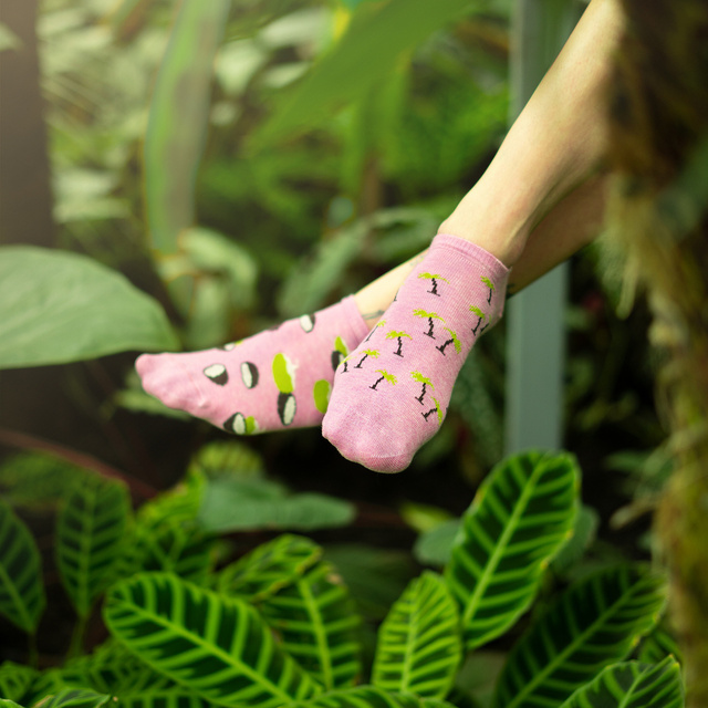 Conjunto de 5 calcetines de mujer SOXO de colores
