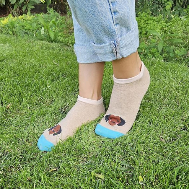 Set de 5 perros de colores para pies de mujer SOXO