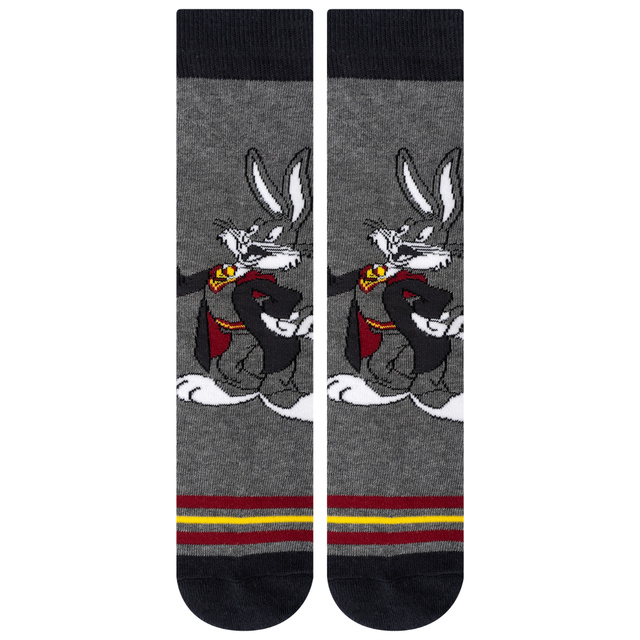 Set de 2x Calcetines de colores para hombre | Warner Bros | Bichos y Lucas | idea regalo