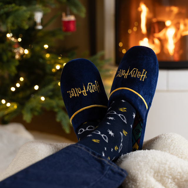 Zapatillas de hombre de Harry Potter