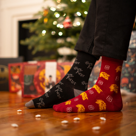 Calendario de Adviento Harry Potter Lote de 6 calcetines de hombre SOXO