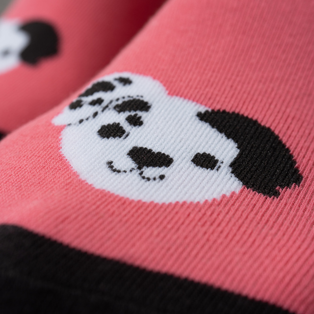 Set de 5 perros de colores para pies de mujer SOXO