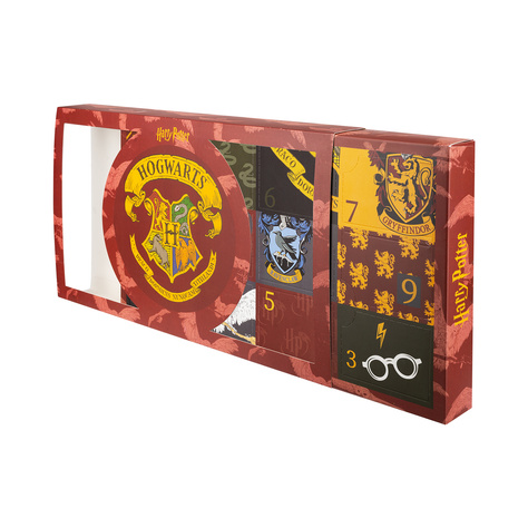 Calendario de Adviento Harry Potter Lote de 6 calcetines de hombre SOXO