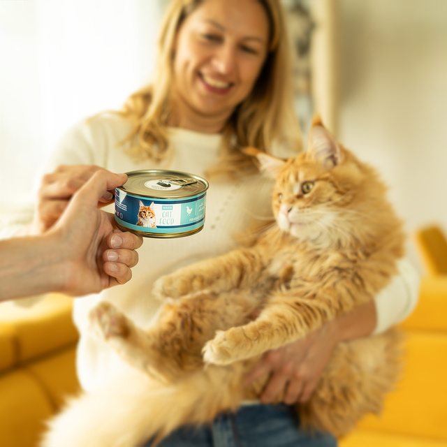 Calcetines de gato en lata para hombre SOXO 
